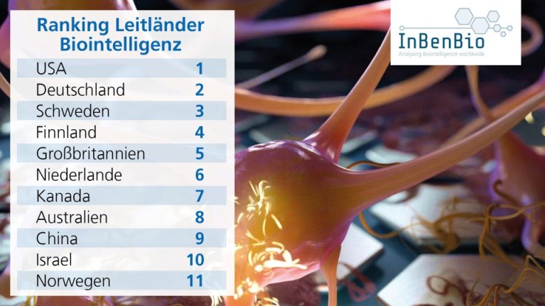 Grafiken-InBenBio-Studie-Posting-v3-01.jpg